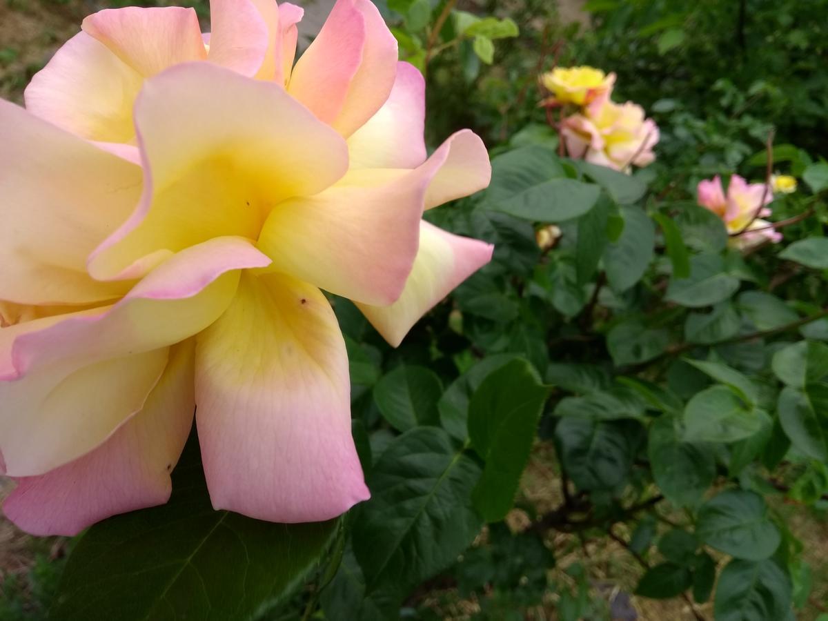 Готель Prague Retro Challenge And Garden Екстер'єр фото